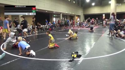 45 lbs Round 1 (6 Team) - Tenley Howarth, NC National Team White vs Ledger Pruitt, Tough House WC