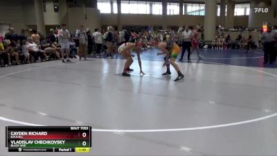 157 lbs Quarterfinal - Cayden Richard, B.R.A.W.L vs Vladislav Chechkovsky, Black Hive