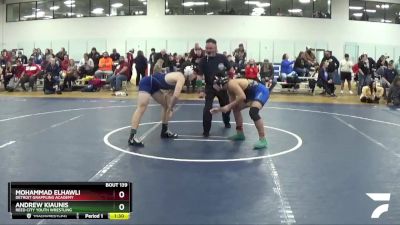 147 lbs Cons. Round 5 - Andrew Kiaunis, Reed City Youth Wrestling vs Mohammad Elhawli, Detroit Grappling Academy
