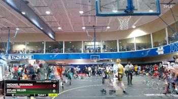 157 lbs Champ. Round 1 - Michael Shannon, Southeastern vs Dylan Hiller, Emmanuel