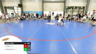 90 lbs Quarterfinal - Landon Reed, Combat WC vs Dominic Schuman, Mat Assassins Black