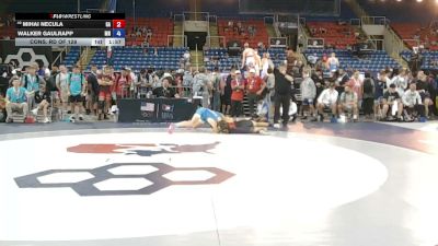 144 lbs Cons. Rd Of 128 - Mihai Necula, Georgia vs Walker Gaulrapp, Minnesota