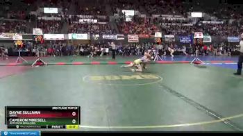 3rd Place Match - Dayne Sullivan, Simms vs Cameron Mikesell, Jefferson (Boulder)