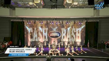 Woodlands Elite - Humble - Blue Angels [2024 L4.2 Senior Coed Day 2] 2024 Cheer Power Cash Bash Showdown Galveston