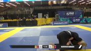 Heather Lee Camacho vs Alice Corinne Hall 2025 Pan Jiu Jitsu IBJJF Championship
