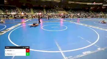 75 lbs Semifinal - Cara Prock, Vian Wrestling Club vs Sky Ramos, Sunkist Kids Monster Garage