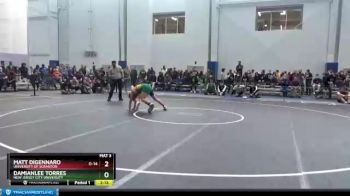 125 lbs Champ. Round 1 - Damianlee Torres, New Jersey City University vs Matt DiGennaro, University Of Scranton