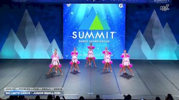 No Limits Dance - Junior Small Pom [2026 Junior - Premier - Pom - Small Semis] 2026 The Dance Summit