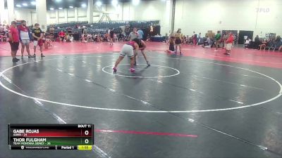 215 lbs Finals (8 Team) - Gabe Rojas, AAWA vs Thor Fulgham, Team Montana Sidney