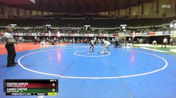 138 lbs Semis & Wb (16 Team) - Colton Sarles, Canon-McMillan vs Caden Carter, Great Bridge