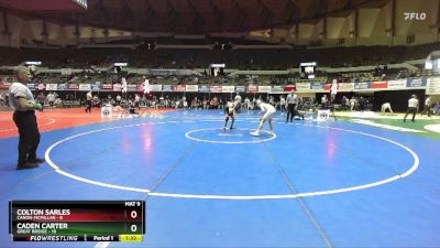 138 lbs Semis & Wb (16 Team) - Colton Sarles, Canon-McMillan vs Caden Carter, Great Bridge