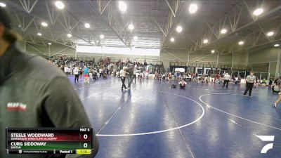 132 lbs Semifinal - Steele Woodward, Sanderson Wrestling Academy vs Curg Siddoway, Uintah