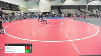 49 lbs Rr Rnd 9 - Delaney Coleman, Seagull Wrestling Club vs Ryan Pisciotta, NJ Roy