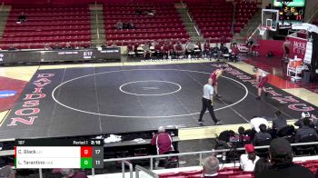 197 lbs Finals (2 Team) - Leo Tarantino, Harvard vs Cael Black, Lock Haven