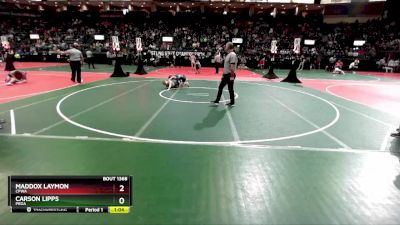 114 lbs Quarterfinal - Carson Lipps, PROA vs Maddox Laymon, CPWA