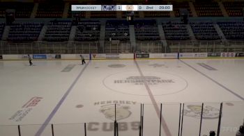 Replay: Home - 2024 WBS Knights vs Cubs | Nov 3 @ 3 PM