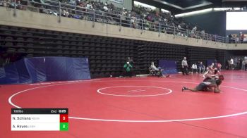 100 lbs Semifinal - Nicky Schiano, Mountainside vs Austin Hayes, Lanham