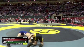 D2-120 lbs Quarterfinal - Jimmy Lalezas, Taylor vs Gradey Harding, Galion