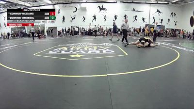 165 lbs 3rd Place Match - Connor Williams, Adrian vs Dominik Whitesel, Adrian