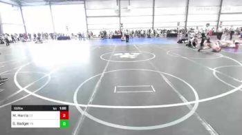 132 lbs Round Of 64 - Miles Harris, CO vs Gavin Badger, PA