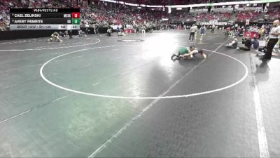 D1-132 lbs Cons. Semi - Avery Femrite, Beaver Dam vs Cael Zelinski, Muskego