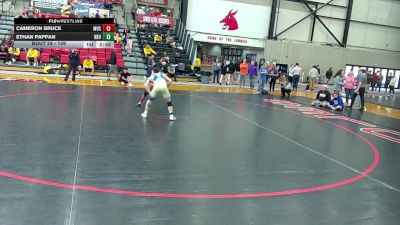 149 lbs Champ. Round 1 - Cameron Bruce, Missouri Valley vs Ethan Pappan, NEO
