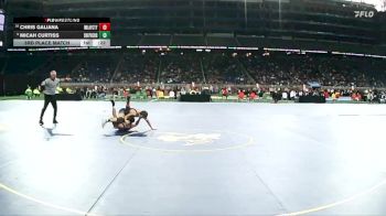 D3-132 lbs 3rd Place Match - Micah Curtiss, Shepherd HS vs Chris Galiana, Imlay City
