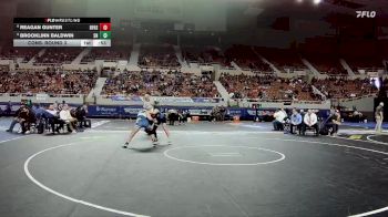 132-D2 Cons. Round 3 - Brooklinn Baldwin, Snowflake High School vs REAGAN GUNTER, Benjamin Franklin High School