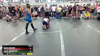 96 lbs Quarterfinal - Elias Amador, Lions Den Wrestling Club vs David Henriquez, Crystal River