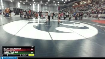 59-62 lbs Round 2 - Ayden Palomino, Toppenish USA WC vs Elliot Colliflower, Spokane Wrestling