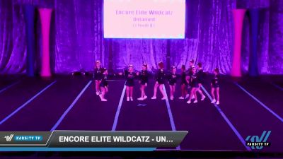 Encore Elite Wildcatz - Untamed [2022 L1 Youth - D2 Day 1] 2022 Aloha Reading Showdown
