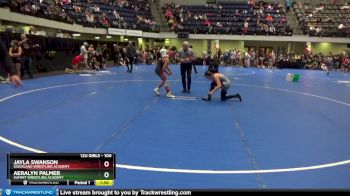 100 lbs Round 2 - Aeralyn Palmer, Summit Wrestling Academy vs Jayla Swanson, Siouxland Wrestling Academy