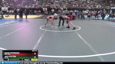 2A 106 lbs Quarterfinal - Gavin Peterson, West Side vs Jace Potter, Malad