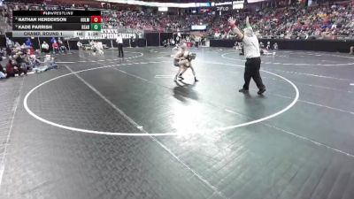 D1-120 lbs Champ. Round 1 - Kade Parrish, Reedsburg Area vs Nathan Henderson, Holmen