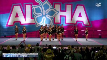 C4 Longhorns - Storm [2025 L3 Junior - D2 - Small Day 1] 2025 Aloha Gatlinburg Showdown