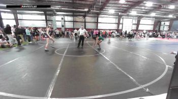 103 lbs Quarterfinal - Abigail Landis, East Greenville vs Alisha Mathew, Ambler