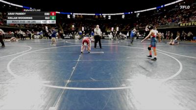 103 lbs Round Of 32 - Arav Pandey, Cumberland Valley vs Kellan Woodring, Bald Eagle Area