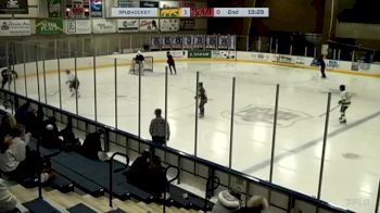 Replay: Home - 2024 CHI Cougars vs Blaze | Dec 15 @ 1 PM