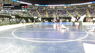 74 lbs Pigtails - Mccoy Mishler, Somerset vs Cody Cuff, Southern Columbia