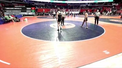 2A 132 lbs Cons. Round 1 - Devan Hornback, Geneseo vs Emiliano Bedolla, Urbana (H.S.)