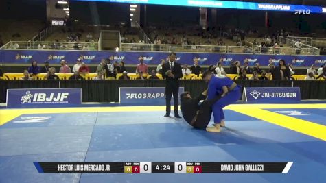 David John Galluzzi vs Hector Luis Mercado Jr 2026 Pan Jiu Jitsu IBJJF Championship