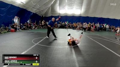 68 lbs Finals (2 Team) - Dean Lewicz, Michigan Gold Pitbulls vs Sam Mendez, FORGE