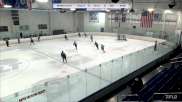 Replay: Home - 2024 Wolfpack U12 vs Hitmen U12 Minor | Jan 27 @ 11 AM