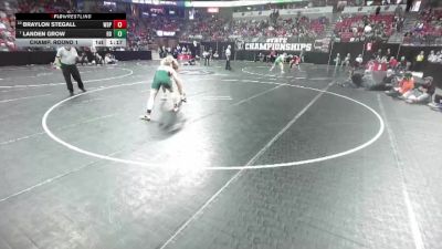 D1-175 lbs Champ. Round 1 - Landen Grow, Beaver Dam vs Braylon Stegall, West De Pere