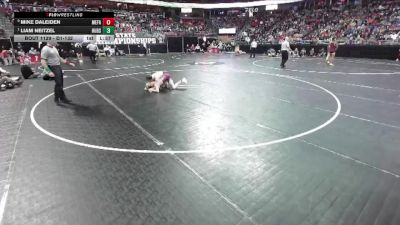 D1-132 lbs Quarterfinal - Liam Neitzel, Hudson vs Mike Daleiden, Menomonee Falls