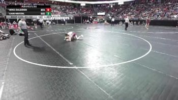 D1-132 lbs Quarterfinal - Liam Neitzel, Hudson vs Mike Daleiden, Menomonee Falls