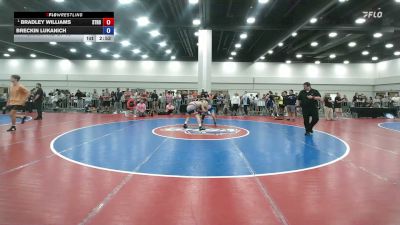 157 lbs Champ. Rd Of 16 - Bradley Williams, Stronghold vs Breckin Lukanich