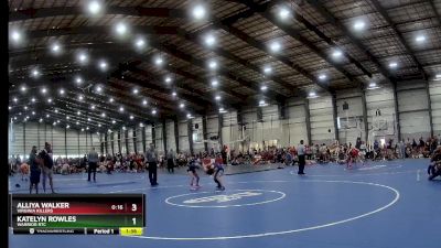 95 lbs Semifinal - Katelyn Rowles, Warrior RTC vs Alliya Walker, Virginia Killers