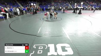 132 lbs Round Of 64 - Leo Babino, Westford Academy vs Mark Altreuter, Wayland