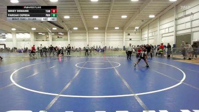 74 lbs Consi Of 8 #2 - Mikey DeMaine, Team Tugman vs Faroah Cepeda, Providence BTS